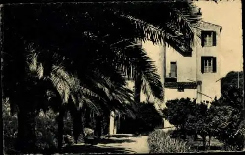 Ak Beauvallon Grimaud Var, Hotel Beausoleil, Allée du Parc