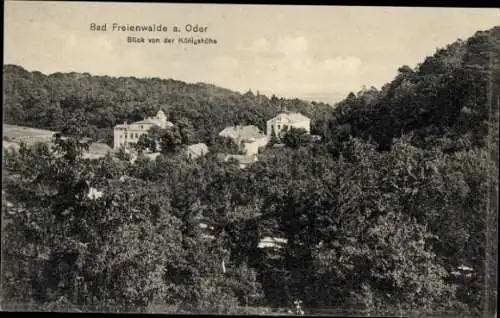 Ak Bad Freienwalde an der Oder, Blick von der Königshöhe