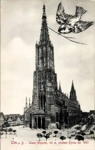 Ak Ulm an der Donau, Ulmer Münster, 161 m, höchste Kirche der Welt