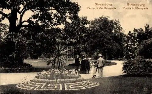 Ak Strasbourg Straßburg Elsass Bas Rhin, Partie an der Orangerie