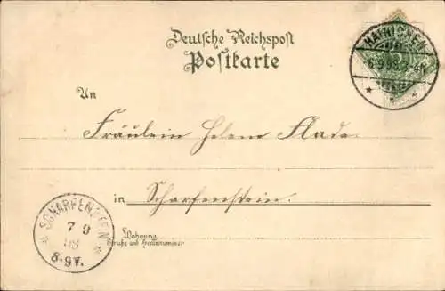 Litho Hainichen in Sachsen, Stadtansicht, Rathaus, Bahnhof, Postkartenmotiv, Blumenverzierung