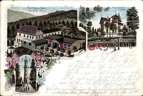 Litho Hain Oybin in Sachsen, Forsthaus, Hochwaldturm, Pensionshaus Hütter