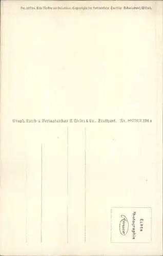 Ak Worms in Rheinland Pfalz, Fliegeraufnahme, Dom