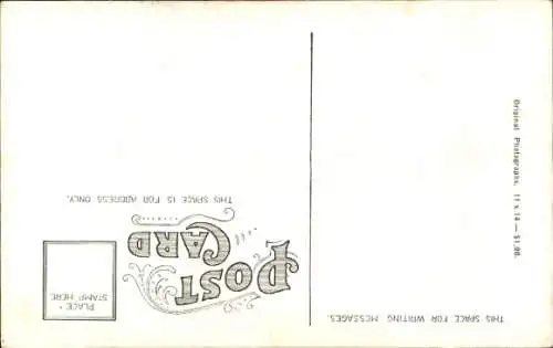 Ak USA, United States Shield