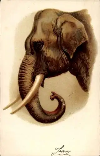 Litho Elefant, Elefantenkopf