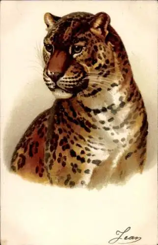 Präge Litho Raubkatze, Leopard