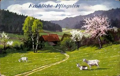 Künstler Ak Mailick, Fröhliche Pfingsten, Ziegen auf einer Wiese