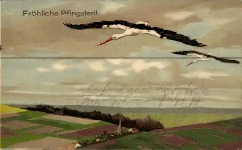Ak Glückwunsch Pfingsten, Störche