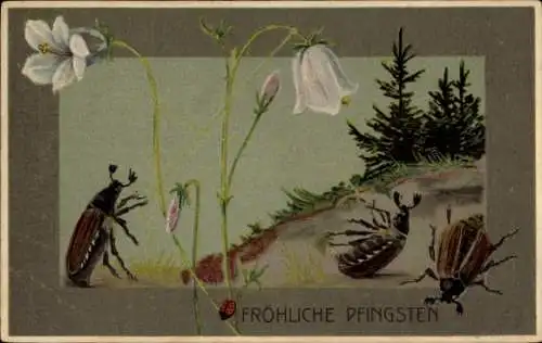 Präge Ak Frohe Pfingsten, Maikäfer, Glockenblumen