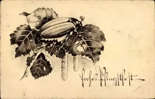 Ak Glückwunsch Pfingsten, Maikäfer