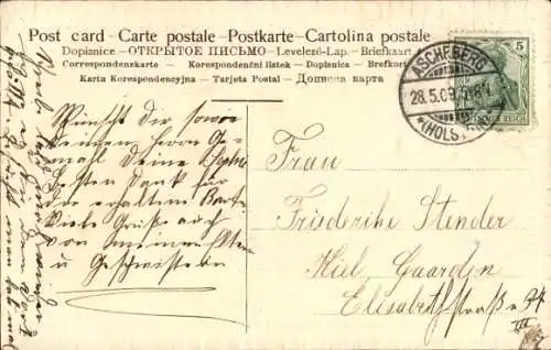 Ak Glückwunsch Pfingsten, Maikäfer