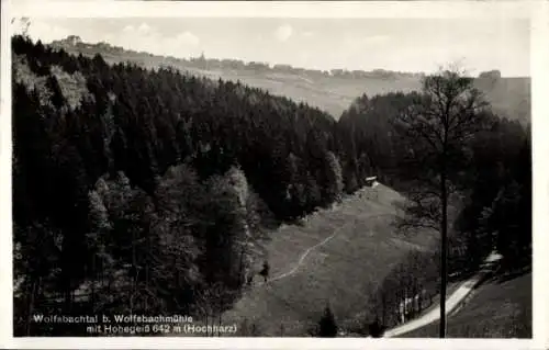 Ak Hohegeiß Braunlage im Oberharz, Wolfsbachtal b. Wolfsbachmühle mit Hohegeiß 642 m (Hochharz)