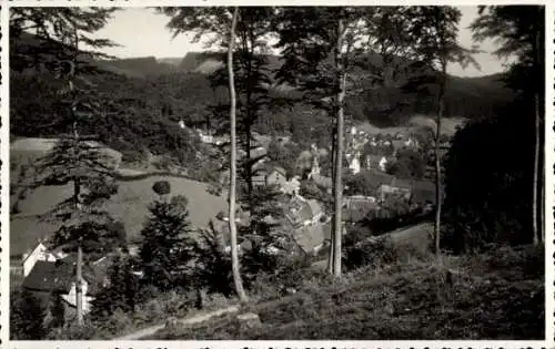 Ak Bad Grund im Harz, Blick auf Bad Grund im Harz