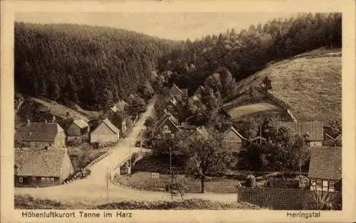 Ak Tanne Oberharz am Brocken, Blick auf den Ort Tanne im Harz mit Fachwerkhäusern, umgeben von...