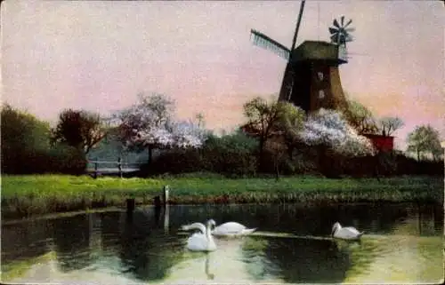 Ak Windmühle, Schwäne, Teich, Wiese