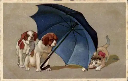 Künstler Ak Zwei Hunde und eine Katze mit einem Regenschirm