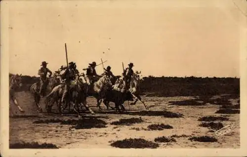 Ak En Camargue, Ferrade, poursuite de l'anouble a cheval