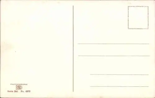 Ak Photochromie, Nenke und Ostermaier 341 4979, Heidekraut