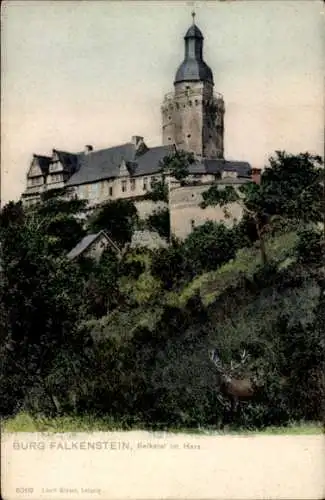 Ak Pansfelde Falkenstein im Harz, Burg Falkenstein, Selketal