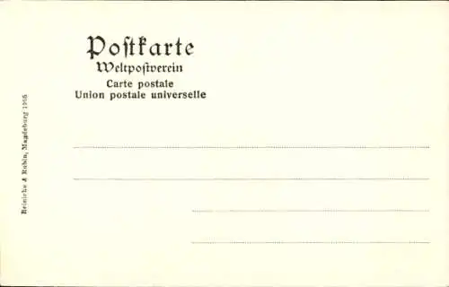 Ak Hansestadt Wismar,  Alter Schwede