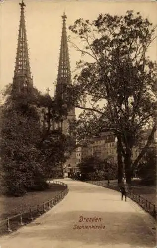 Ak Dresden, Partie im Park mit Blick zur Sophienkirche