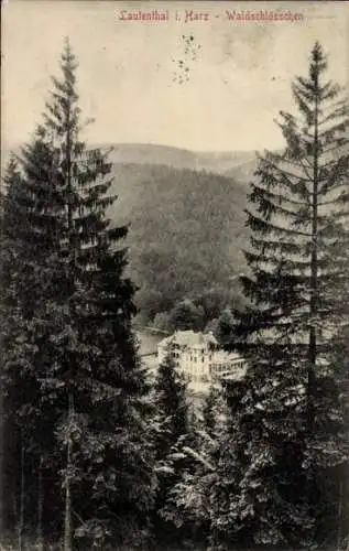 Ak Lautenthal Langelsheim im Oberharz, Waldschlösschen