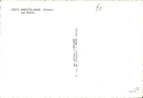 Ak Montélimar Drôme, Les Allees