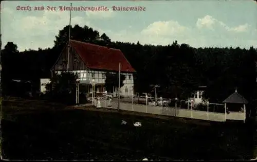 Ak Hainewalde Oberlausitz, Gruss aus der Limonadenquelle