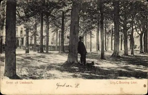 Ak Liesbosch Liesbos Breda Nordbrabant Niederlande, Allee, Mann mit Hund