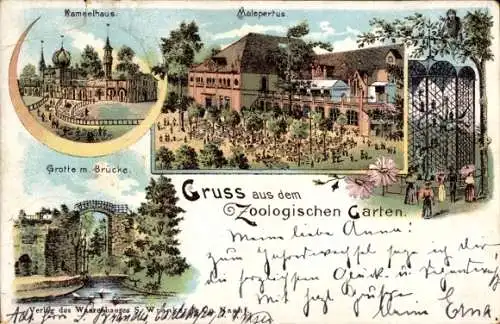 Litho Hannover in Niedersachsen, Zoologischer Garten, Kamelhaus, Malepertus, Grotte, Brücke