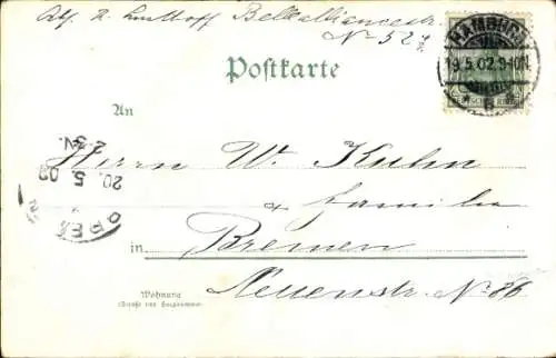 Litho Glückwunsch Pfingsten, Maikäfer