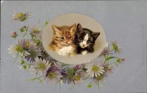 Passepartout Ak Zwei junge Katzen, Blumen