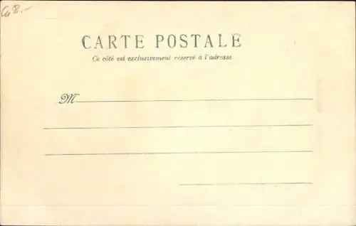 Passepartout Ak Zwei junge Katzen, Blumen