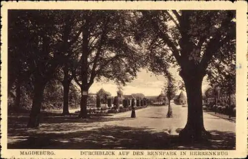 Ak Herrenkrug Magdeburg, Blick auf den Rennpark in Herrenkrug