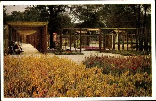 Ak Hamburg, Planten un Blomen, Niederdeutsche Gartenschau Hamburg, Pergola, Sommerblumenwiese