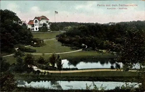 Ak Aumühle im Herzogtum Lauenburg, Partie im Sachsenwald, Hofriede