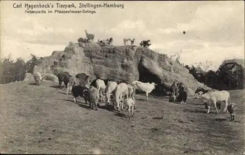 Ak Hamburg Eimsbüttel Stellingen, Carl Hagenbecks Tierpark, Felsenpartie im Pflanzenfressergehege