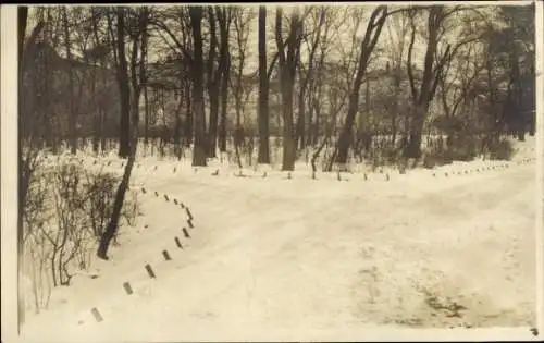 Ak Zwickau in Sachsen, Wegabzweigung, Wald, Winter