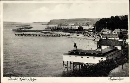 Ak Sassnitz auf der Insel Rügen, Uferpanorama, Hafenanlagen, Häuser, Mastenwald