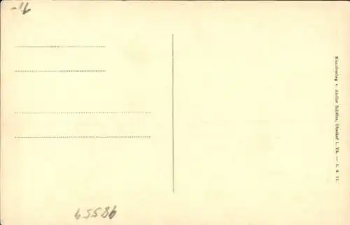 Ak Oberhof im Thüringer Wald, Gesamtansicht Bärenstein