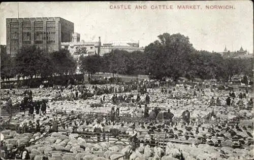 PC Norwich Norfolk England, Castle and Cattle Market