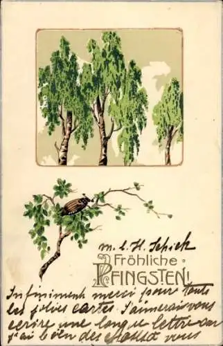 Litho Glückwunsch Pfingsten, Maikäfer, Birke