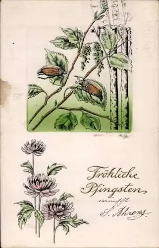 Präge Ak Glückwunsch Pfingsten, Maikäfer