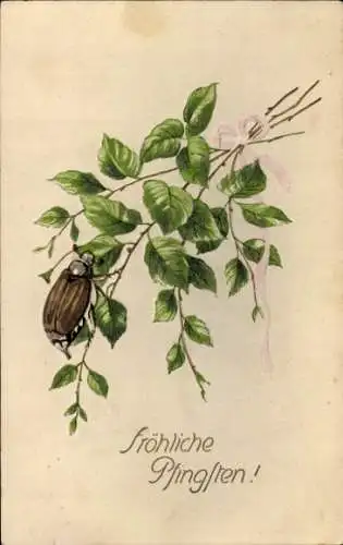 Präge Ak Glückwunsch Pfingsten, Maikäfer
