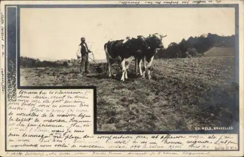 Ak Pflügender Bauer mit zwei Ochsen auf einem Feld