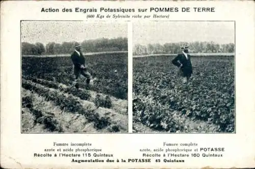CPA Action des Engrais Potassiques sur Pommes de Terre, Reklame