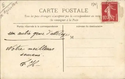 Foto Ak Bauern mit Rinderfuhrwerk