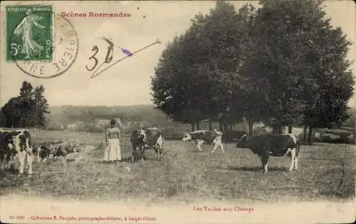 CPA Scènes Normandes, Les Vaches aux Champs