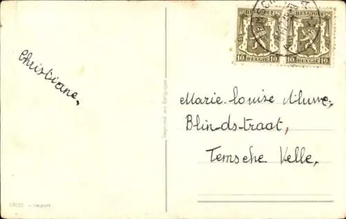 Ak Fröhliches Neujahr, zwei Marienkäfer in einer Winterlandschaft