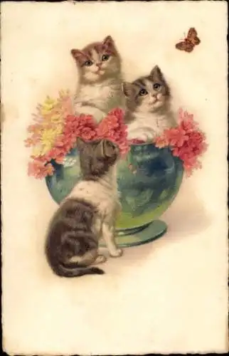 Ak Katzen beobachten einen Schmetterling, Blumen